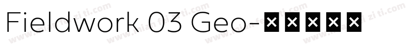 Fieldwork 03 Geo字体转换
